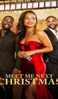 Meet Me Next Christmas Dual Audio HDRip