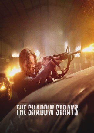 The Shadow Strays Dual Audio HDRip