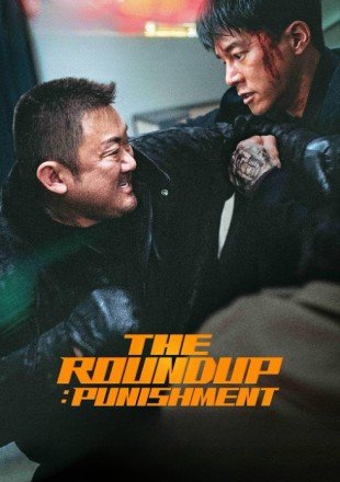 The Roundup: Punishment Dual Audio HDRip